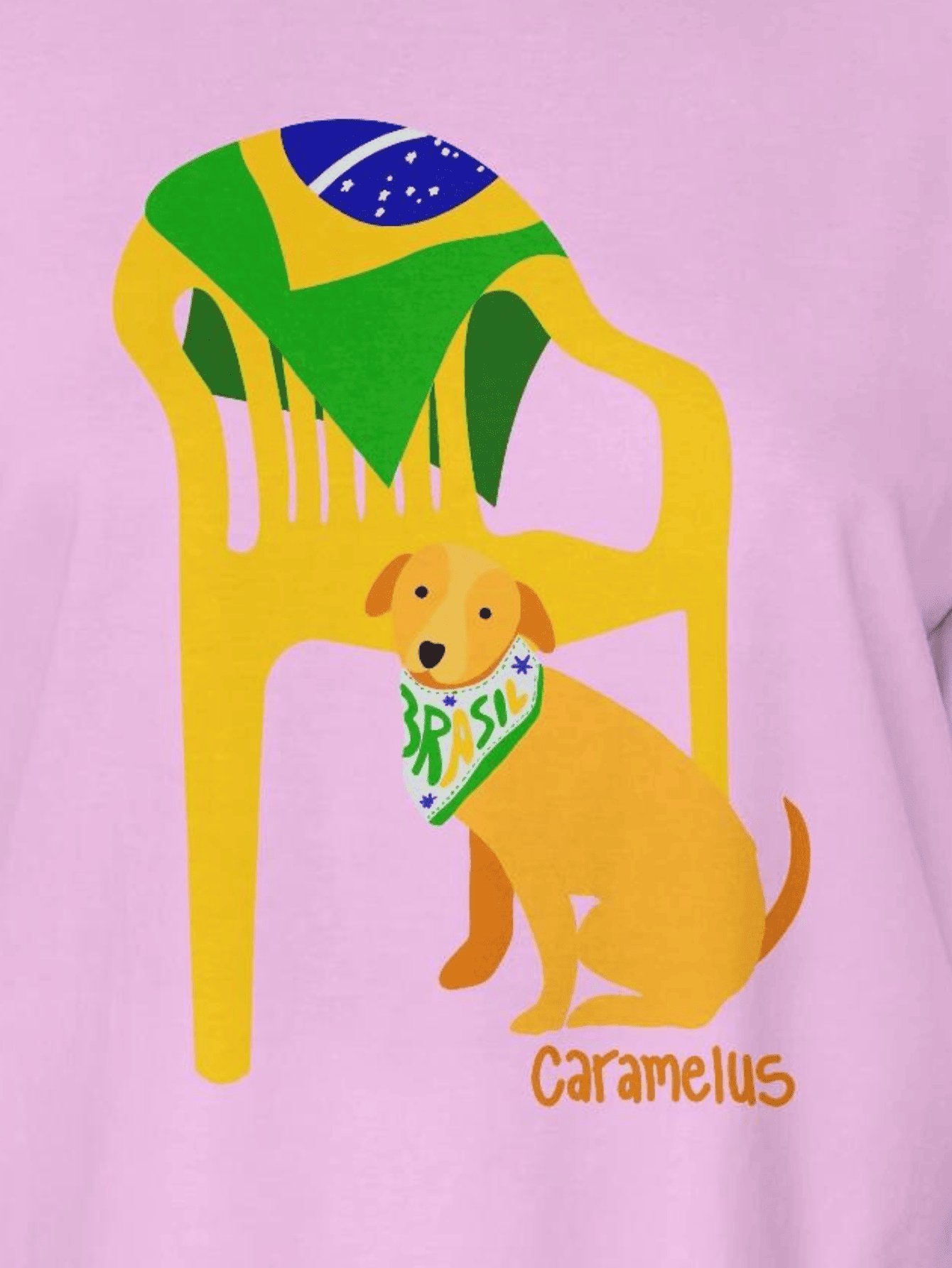 Camiseta Brasil Stylish - Cachorro Caramelo